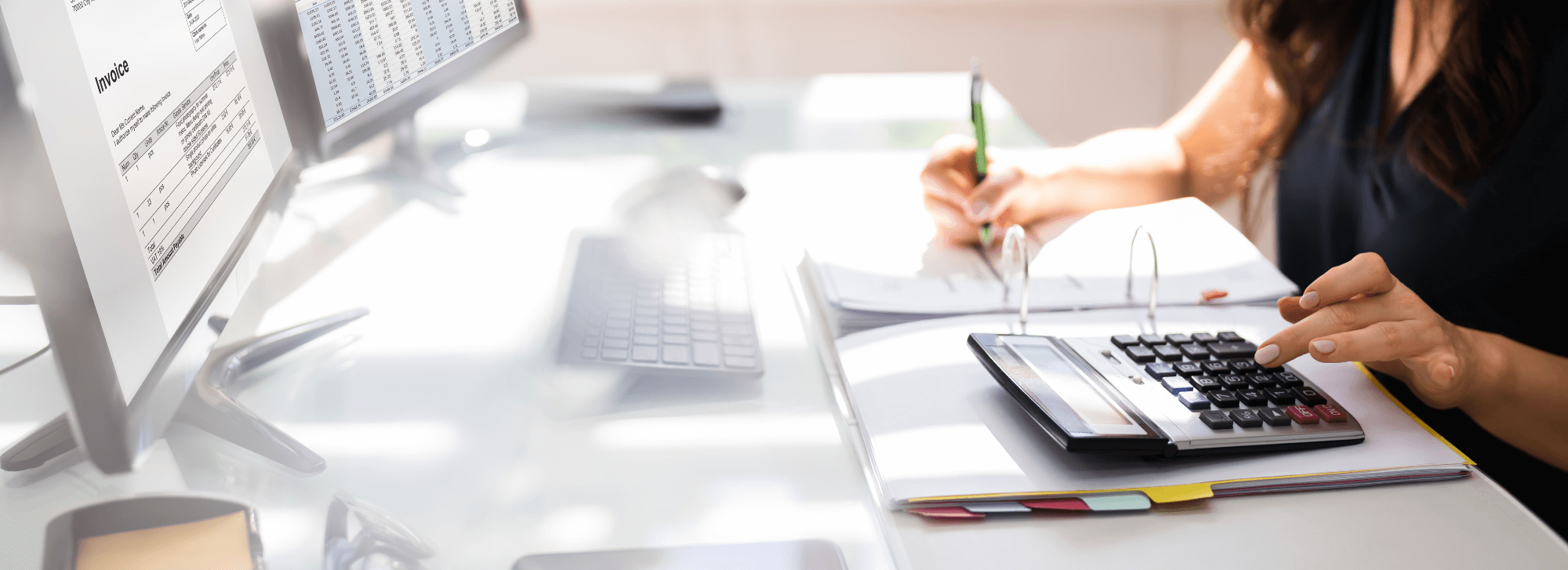 Chartered Accountant